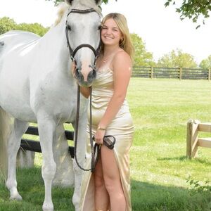 Champagne peekaboo beaded prom dress XS